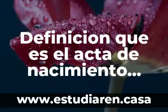 Que es resumen de incidencia para el acta de nacimiento 8 Definicion que es el acta de nacimiento para niños