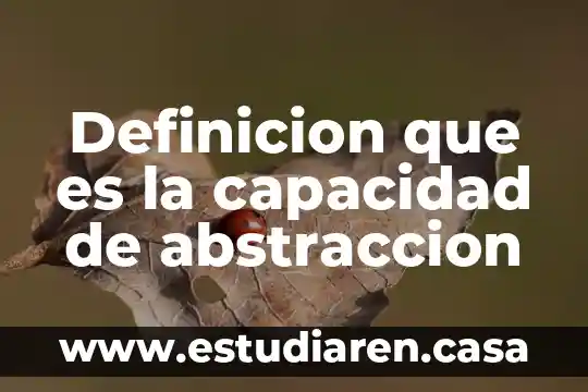Definicion que es la capacidad de abstraccion