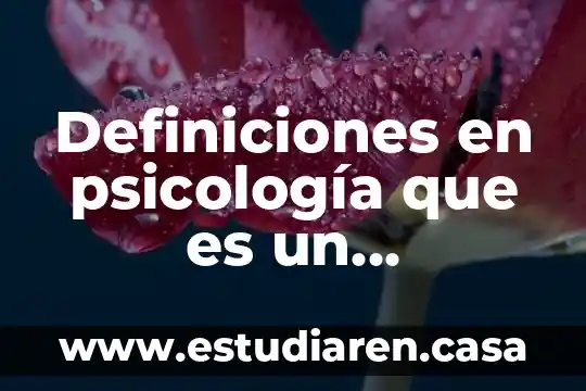 Definiciones en psicología que es un programa