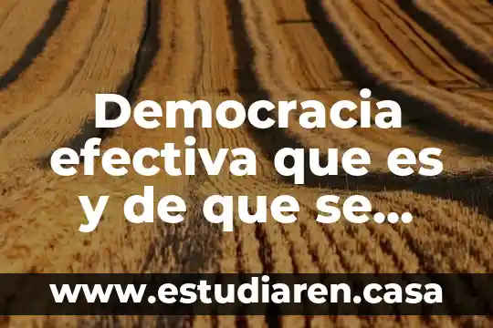 Democracia efectiva que es y de que se trata