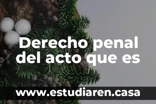 Qué es el derecho patriarcal bíblicamente 8 Derecho penal del acto que es