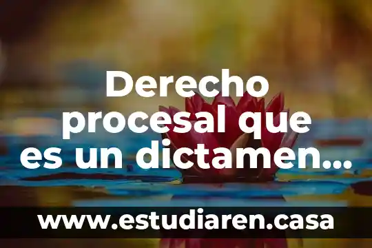 Derecho procesal civil que es la demanda 8 Derecho procesal que es un dictamen pericial