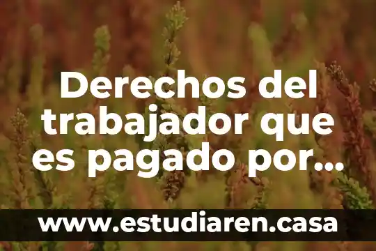 En las afores que es un trabajador asignado 5 Derechos del trabajador que es pagado por horas en mexico
