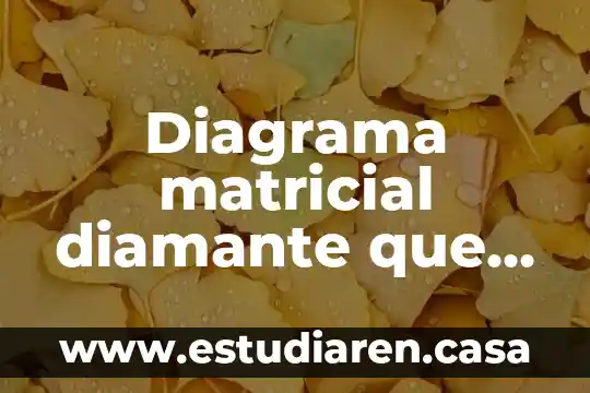 Qué es más caro el diamante rosa o transparente 5 Diagrama matricial diamante que es