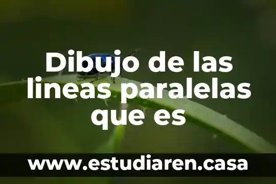 Dibujo de las lineas paralelas que es