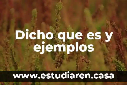 Dicho que es y ejemplos