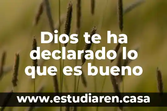 Dios te ha declarado lo que es bueno