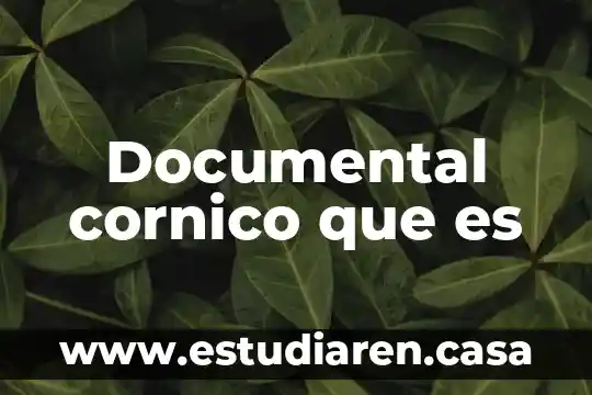 Que es es un documental 8 Documental cornico que es