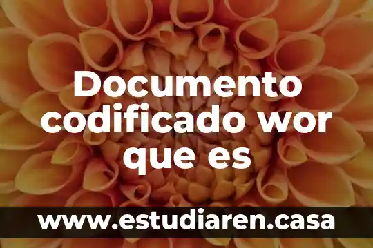 Documento codificado wor que es