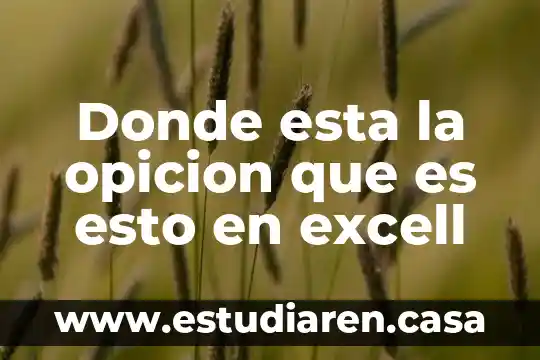 Donde esta la opicion que es esto en excell