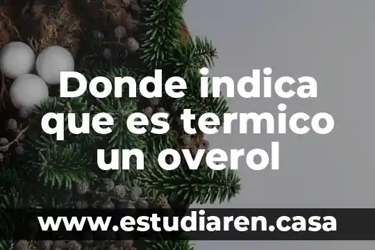 En donde dice el color que es en Excel 8 Donde indica que es termico un overol