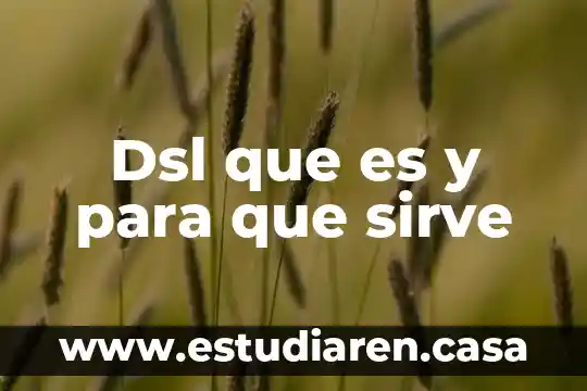 Dsl que es y para que sirve