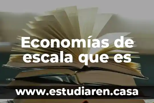 Que es un dibujo a escala ejemplos 5 Economías de escala que es