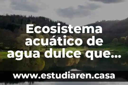 Ecosistema acuático de agua dulce que es