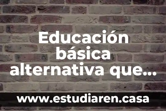 Qué es clasificación básica de la materia 3 Educación básica alternativa que es