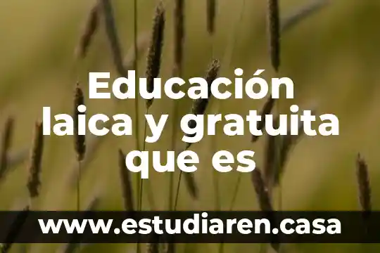 Que es una teoria en la educacion 5 Educación laica y gratuita que es