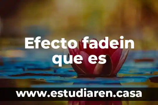 Efecto fadein que es