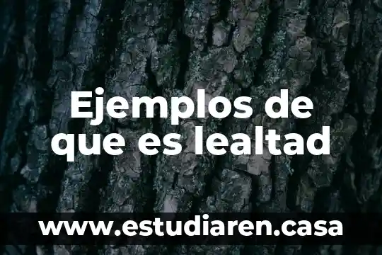 Ejemplos de que es lealtad