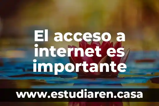 El acceso a internet es importante