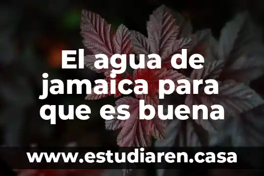 El agua de jamaica para que es buena