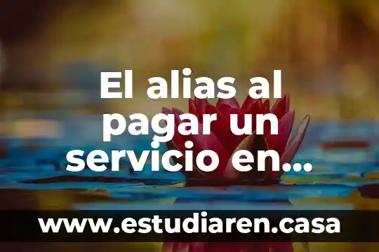 El alias al pagar un servicio en CityBanamex que es