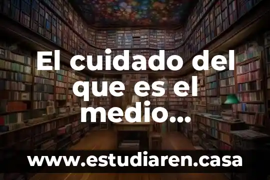 Que es el medio ubano 3 El cuidado del que es el medio ambiente