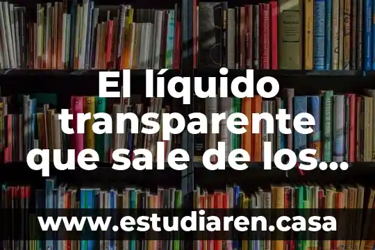 Qué es un recurso líquido financieramente 6 El líquido transparente que sale de los granos