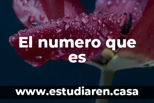El numero que es