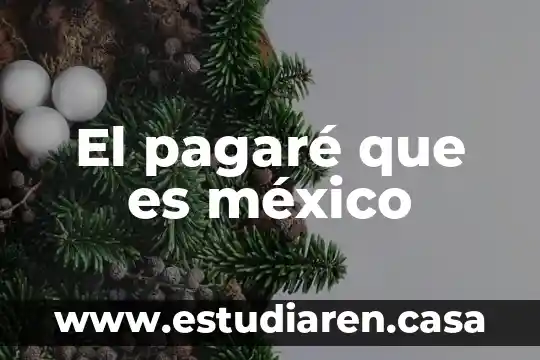 Que es mejor pagare o cedes en banamex 7 El pagaré que es méxico