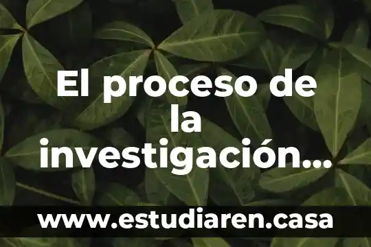 Que es un informa de investigacion cientifica 4 El proceso de la investigación científica que es