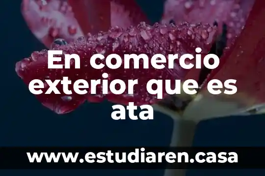 Que es reputar actos de comercio 4 En comercio exterior que es ata