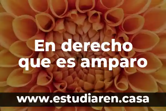 En derecho que es amparo