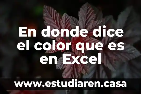 Polimerico tipos que es y donde se utiliza 8 En donde dice el color que es en Excel