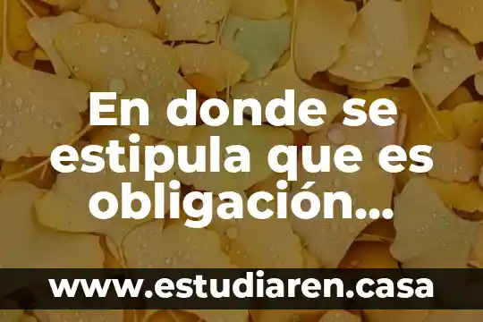 Que es la memoria de registros 5 En donde se estipula que es obligación llevar registros contables