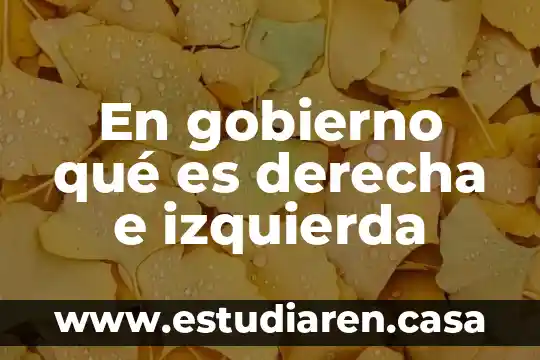 Que es una ventriculo derecha 3 En gobierno qué es derecha e izquierda