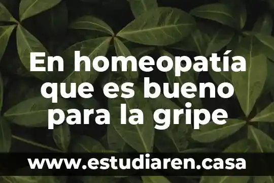 En homeopatía que es bueno para la gripe