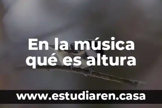 Altura acromion que es 7 En la música qué es altura
