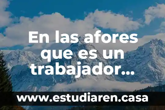 Que es un trabajador de la informacion 4 En las afores que es un trabajador asignado