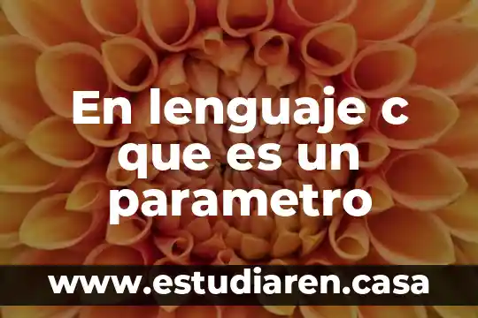 En lenguaje c que es un parametro