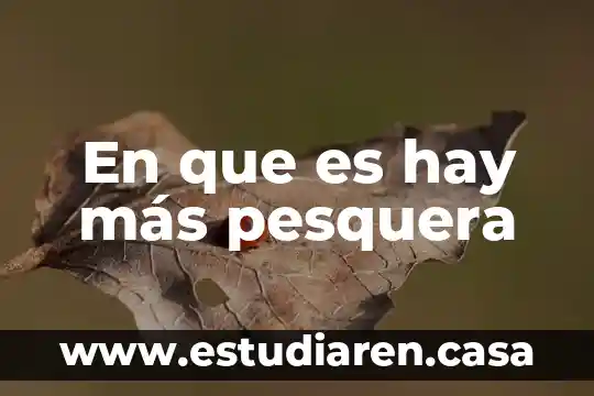 Que es mas importante la actitud o la habilidad 7 En que es hay más pesquera