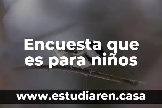 Encuesta que es para niños