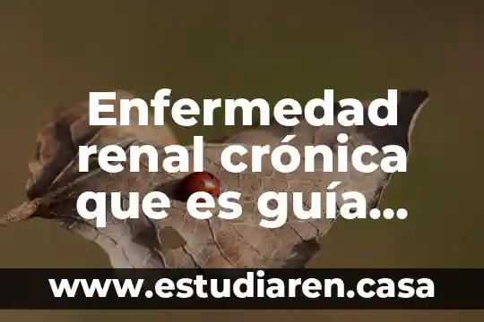 Qué es una historia clínica epidemiológica 4 Enfermedad renal crónica que es guía oracticas clínica