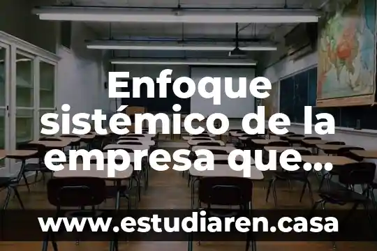 Qué es la lupus eritematoso sistémico 4 Enfoque sistémico de la empresa que es