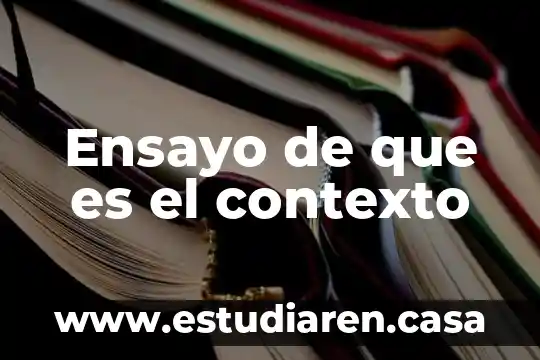 Ensayo de que es el contexto