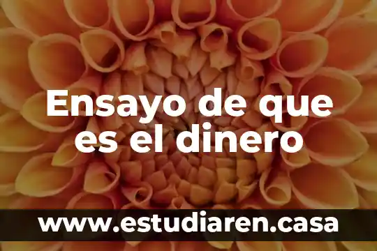 Ensayo de que es el dinero
