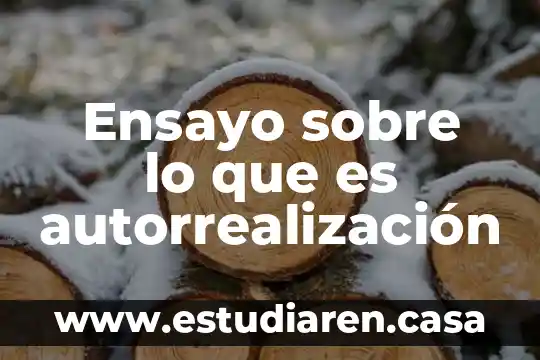 Que es desamor para un ensayo anahuac 6 Ensayo sobre lo que es autorrealización