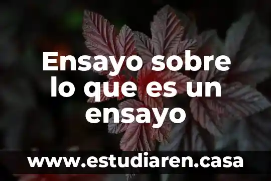 Ensayo sobre lo que es un ensayo