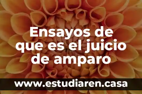 Ensayos de que es el juicio de amparo