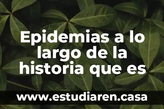 Que es la periodixacion de la historia 3 Epidemias a lo largo de la historia que es