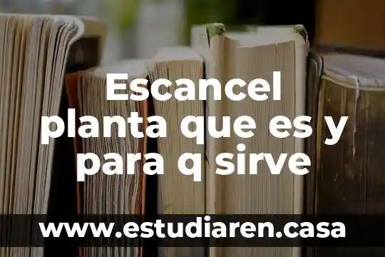 Escancel planta que es y para q sirve